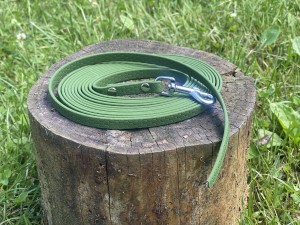 IMG_1947.jpeg