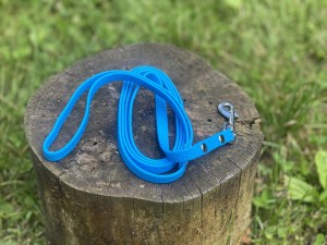 IMG_1954.jpeg