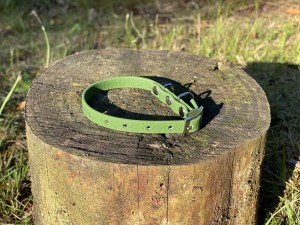 IMG_1980.jpeg