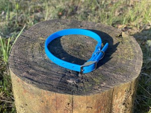 IMG_1983.jpeg