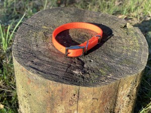 IMG_1982.jpeg