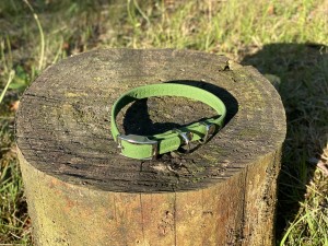 IMG_1979.jpeg