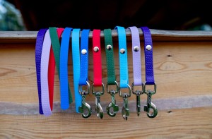 Linka treningowa do sportu, plaster miodu