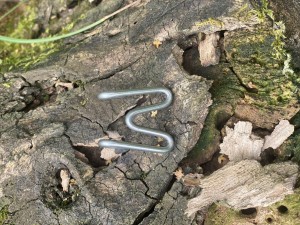 Pojedyncze ogniwa do kolczatki - indywidualne zamówienie 