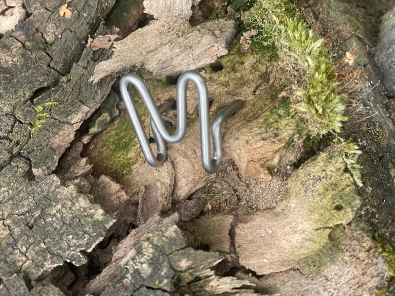 IMG_2019.jpeg