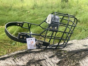 Kaganiec fizjologiczny JVM American Pitbull