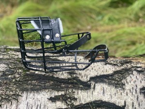 Kaganiec fizjologiczny Chopo Rodezjan ridgeback