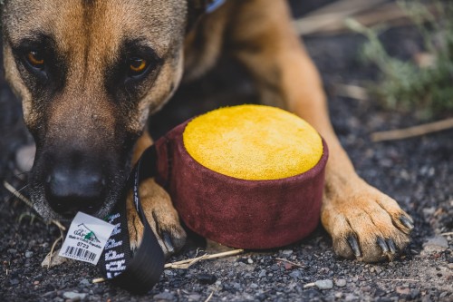 piłka skórzana gappay duża3.jpeg