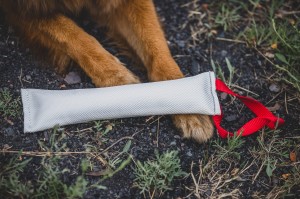 Gryzak z węża strażackiego 