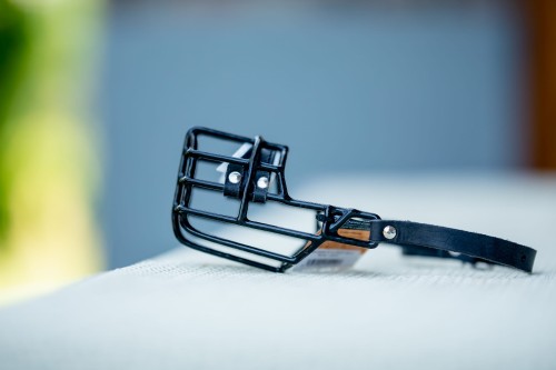 kaganiec Chopo mały.jpeg