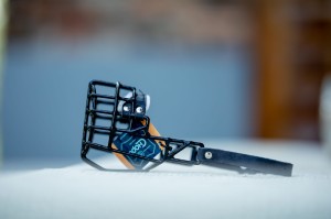 Kaganiec fizjologiczny Chopo Cocker spaniel amerykański 