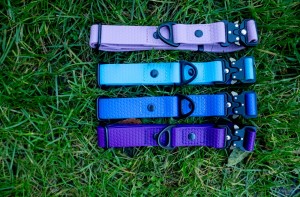 Obroża regulowana Buckle, plaster miodu