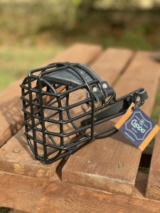 Kaganiec fizjologiczny Chopo Cocker spaniel, Foksterier