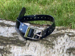 IMG_1267.jpeg