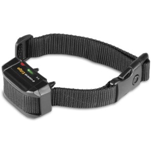 Dodatkowy odbiornik Dog Trace Edge standard