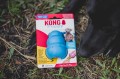 kong puppy niebieski M.jpeg