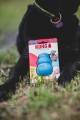 kong puppy niebieski M 3.jpeg