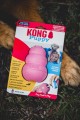 kong puppy różowy L.jpeg