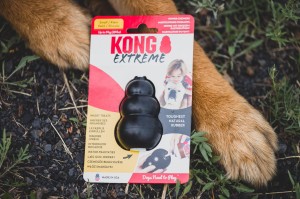 Kong Extreme