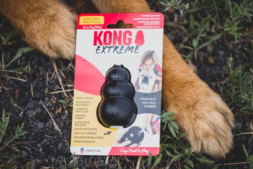 kong extreme s.jpeg