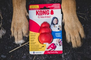 Kong classic