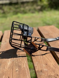 Kaganiec fizjologiczny Chopo Dalmatyńczyk, Border, Labrador, 