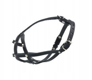  Kaganiec skórzany Champion Buldog Francuski