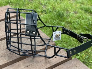 Kaganiec fizjologiczny JVM Briard Bobtail