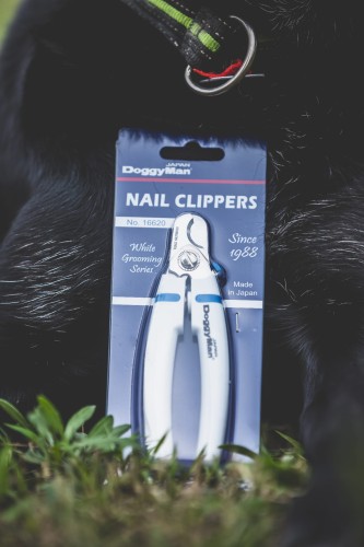 cążki do pazurków.jpeg