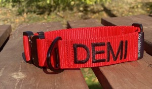 IMG_5430.jpeg