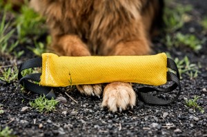 Gryzak z materiału ringowego 