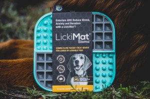 LickiMat - mata do lizania dla psa, twarda
