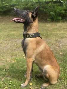 IMG_2156.jpeg