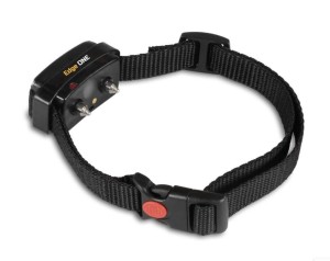 Obroża Dog Trace Edge One 