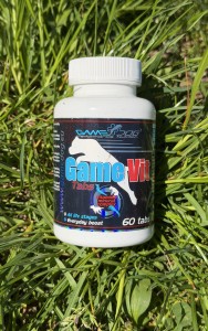 GameVit Tabs 