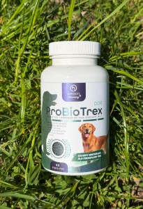 ProBioTrex Dog – probiotyk i postbiotyk dla psów