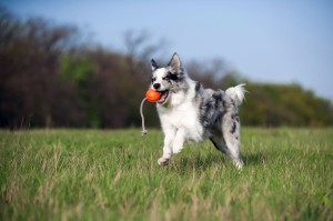 IMG_0181.jpeg