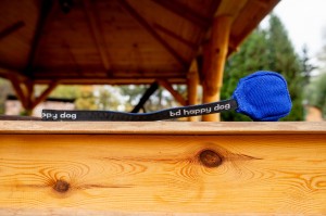 Piłka - sakiewka ringowa