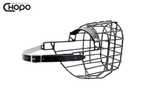 Kaganiec fizjologiczny Chopo Bokser,  Shar pei, Dog argentyński pies