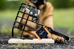 Kaganiec fizjologiczny Chopo Rottweiler,  Fila Brasileiro,  Mastiff,  Cane corso