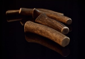 Poroże - gryzak naturalny Hard L