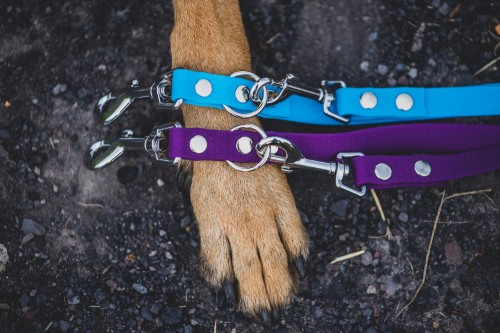 smycz regulowana plaster miodu kolory.jpeg