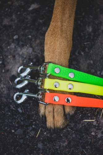 Smycz plaster miodu kolory2.jpeg