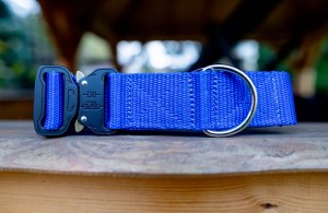 Obroża Buckle, taśma 4 cm