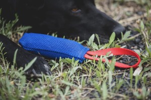 Gryzak z materiału ringowego mini