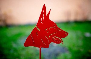 Znacznik na ślady - owczarek belgijski, owczarek holenderski 