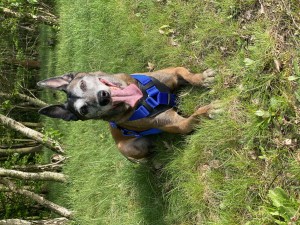 IMG_1575.jpeg